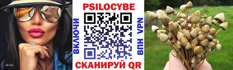 закладка  Черепаново  Псилоцибиновые грибы ЛСД 